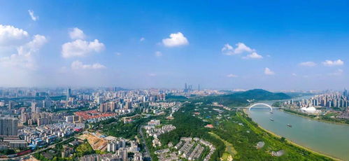 广西又出圈了,这次不靠螺蛳粉