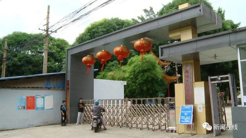 广西一高校要求学生卖20箱芒果,销量不好可能毕不了业