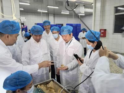 杨绿峰调研玉林数字化转型发展情况