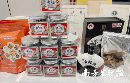 贺州市 桂字号 农特产品在广州集中亮相