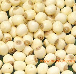 广西芡实 优质湖产品的全国供应商