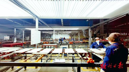 小证书撬动大产业 梧州市有关认证工作跃居全区前列